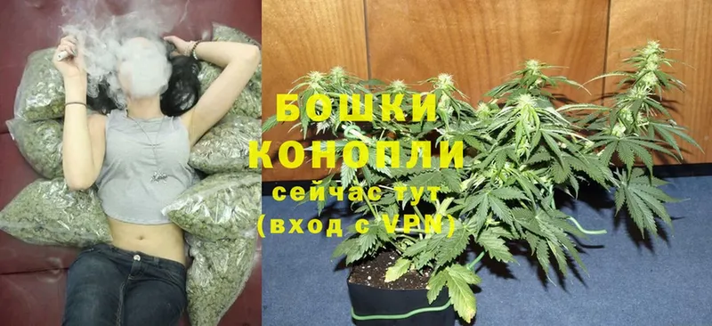 Бошки марихуана OG Kush  Барнаул 